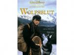 Wolfsblut DVD