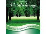 Stein Arnd - Waldlichtung - Sanfte Musik zum Entspannen und Wohlfühlen [CD]