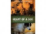 Heart Of A Dog DVD