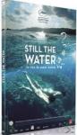 Still the Water auf DVD