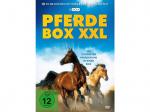 Pferdebox XXL DVD