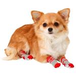 Karlie Doggy Socks Hundesocken 4er Set - Rot/Grau M