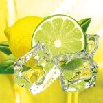 Eurographics Deco Glass Fresh Lemon & Lime 50 cm x 50 cm