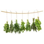 Eurographics Fenstersticker antistatisch Hanging Herbs