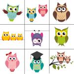 Eurographics Memoboard-Magnetset Happy Owl 11,5 cm x 20,5 cm