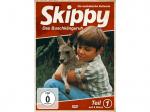 Skippy - Das Buschkänguruh - Staffel 1 [DVD]