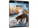 Wildes Venedig [4K Ultra HD Blu-ray]