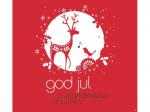 VARIOUS - God Jul-A Scandinavian Christmas [CD]