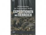 Expeditionen ins Tierreich: Wildschweine im Teutoburger Wald [DVD]