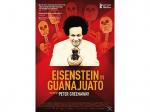 Eisenstein in Guanajuato [DVD]