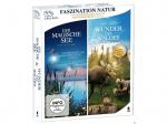 Faszination Natur - Wunder des Waldes & der magischen See [Blu-ray]