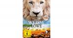 DVD Der weiße Löwe Hörbuch