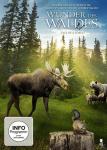 Wunder des Waldes - Tale of a forest auf DVD