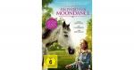 DVD Ein Pferd Moondance Hörbuch Kinder