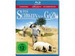 DAS SCHWEIN VON GAZA Blu-ray