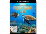 Red Sea [4K Ultra HD Blu-ray]