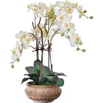 Best of home Kunstpflanze Orchideentopf Antik 67 cm