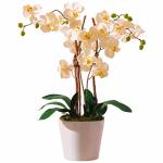 Best of home Kunstpflanze Orchideentopf Elegance 54 cm