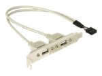 DeLOCK - USB-Konsole - 10-poliger USB-Header (M) bis USB (W) - 30 cm