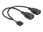 Delock USB 2.0 Y-Kabel [1x USB 2.0 Buchse intern 4pol. - 2x USB 2.0 Buchse A] 0.2 m Schwarz UL-zertifiziert