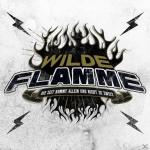 Die Zeit Kommt Allein Wilde Flamme auf 5 Zoll Single CD (2-Track)