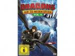 Dragons - Auf zu neuen Ufern Vol. 4 [DVD]