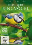 Heimische Singvögel auf DVD