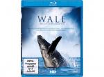 Wale-Die Letzten Giganten [Blu-ray]