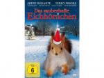 Das Zauberhafte Eichhörnchen DVD