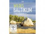 Wildes Baltikum: Die Küste / Wälder und Moore Blu-ray