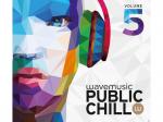 VARIOUS - Public Chill Vol.5 [CD]