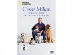 National Geographic: Cesar Millan - Neues vom Hundeflüsterer [DVD]