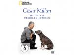 Cesar Millan: Hilfe für Problemhunde [DVD]