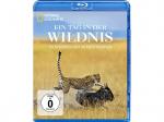 Wild 24 - Ein Tag in der Wildnis [Blu-ray]