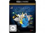 ULTRA HD AQUARIUM IN 4K [4K Ultra HD Blu-ray]
