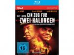 Jack London: Ein Zug für 2 Halunken [Blu-ray]