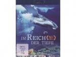 Im Reich der Tiefe [Blu-ray]