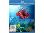 Faszination Korallenriff - Jäger und Gejagte [3D Blu-ray]