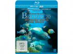 Abenteuer Bahamas - Mysteriöse Höhlen und Wracks [3D Blu-ray]