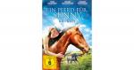 DVD Ein Pferd Sunny Hörbuch Kinder