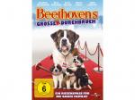 BEETHOVENS GROSSER DURCHBRUCH DVD