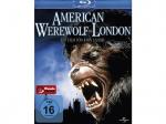 American Werewolf In London (Special Edition) Blu-ray