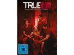 True Blood - Die komplette 4. Staffel [DVD]