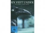 Six Feet Under - Staffel 4 [DVD]
