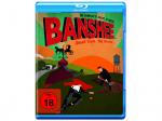 Banshee - Staffel 1 [Blu-ray]