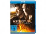 Supernatural - Staffel 10 [Blu-ray]