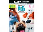 Pets 4K Ultra HD Blu-ray + Blu-ray