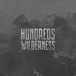 Wilderness (Deluxe) Hundreds auf CD