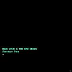 Skeleton Tree Nick Cave & The Bad Seeds auf Vinyl