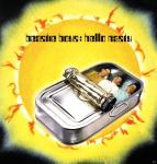 Hello Nasty-2 Lp Beastie Boys auf Vinyl